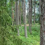 Gaesthuset Paradiset *