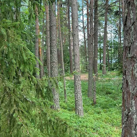 Gaesthuset Paradiset *