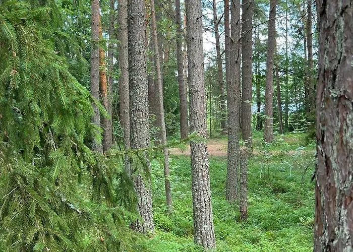 Gaesthuset Paradiset *